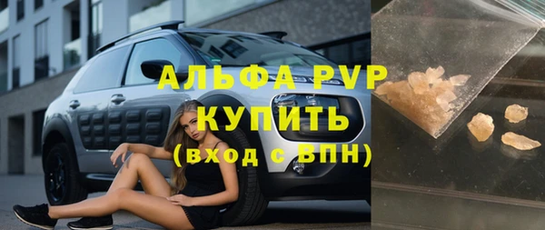 стафф Алзамай