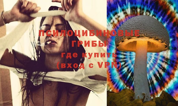 ECSTASY Абаза