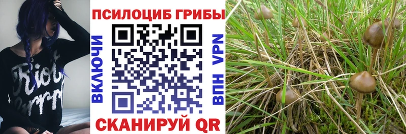 Галлюциногенные грибы мицелий  KRAKEN ссылка  Сорск 